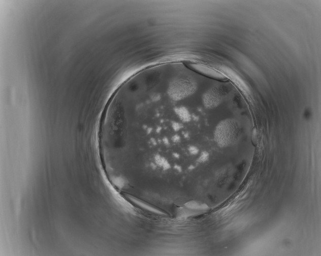 X0000095541055200712211343