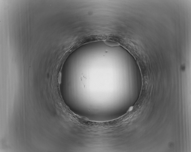 X0000095541057200712211342