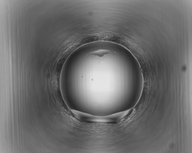 X0000095541058200712211342