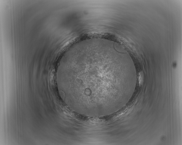 X0000095541059200712211342