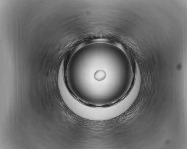 X0000095541060200712211342