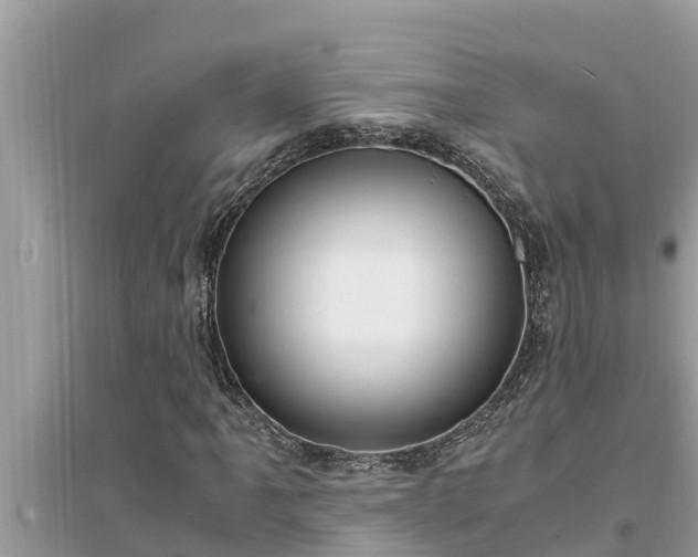 X0000095541061200712211342