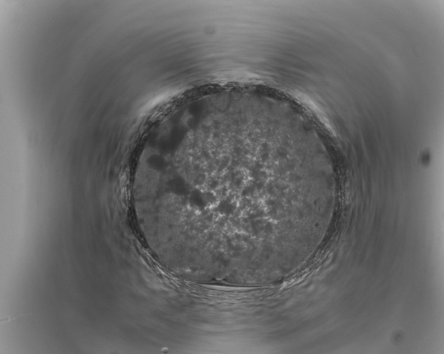 X0000095541063200712211342