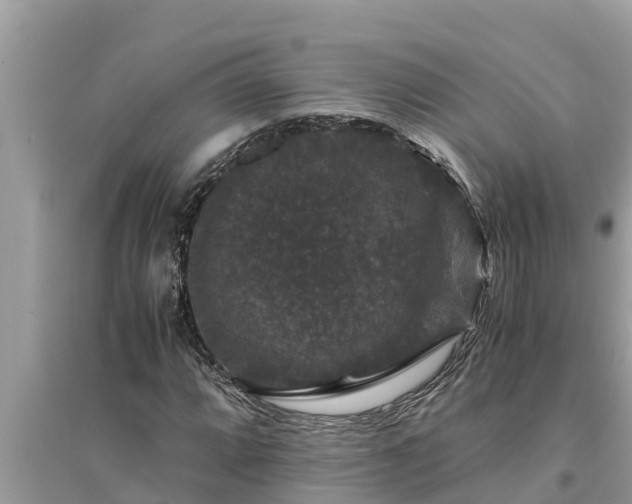 X0000095541064200712211342