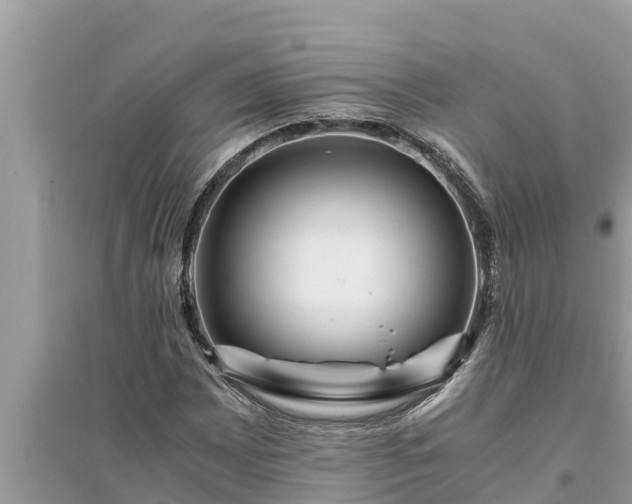 X0000095541065200712211342