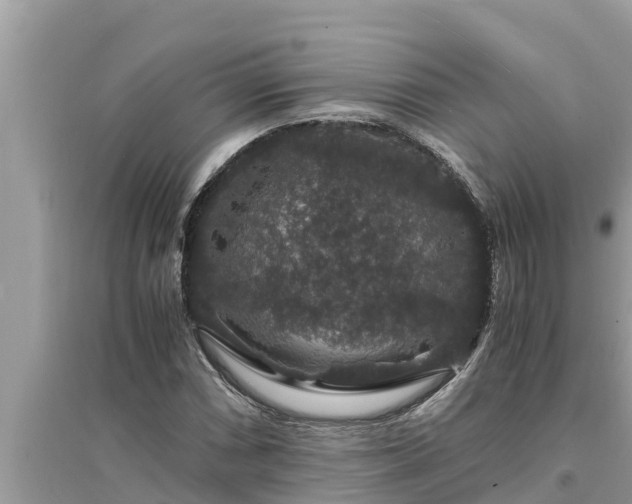 X0000095541066200712211342