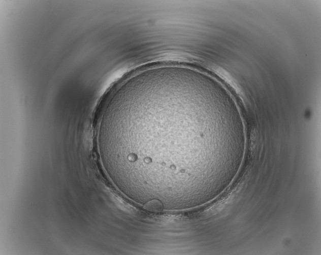 X0000095541067200712211342