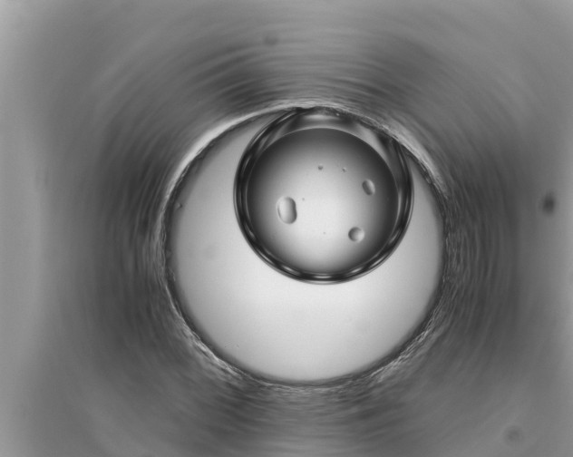 X0000095541068200712211342