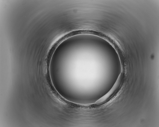 X0000095541069200712211342