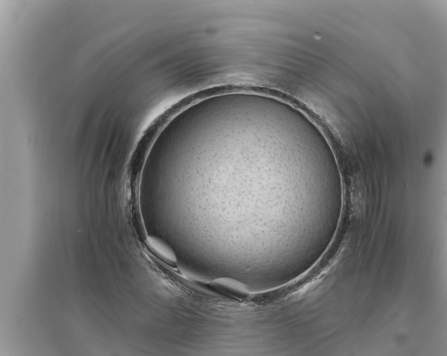 X0000095541070200712211342