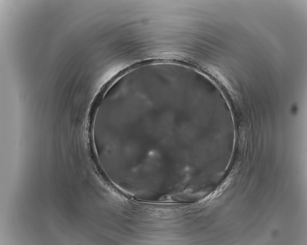 X0000095541071200712211342