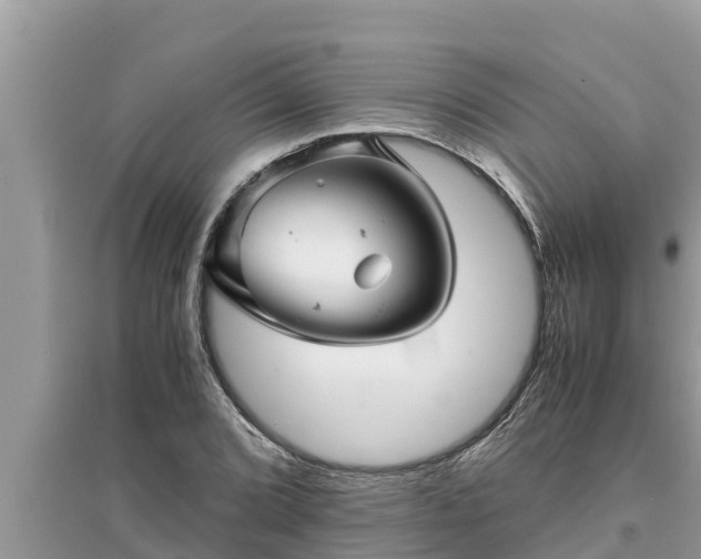 X0000095541072200712211342