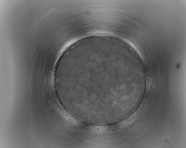 X0000095541074200712211342