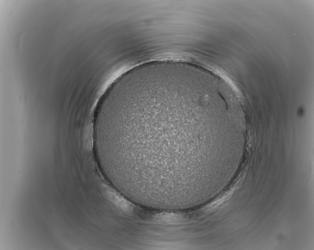 X0000095541075200712211342