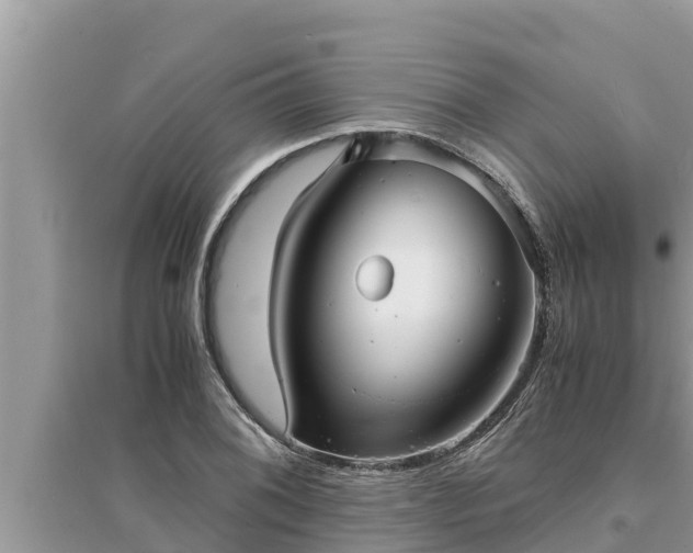 X0000095541076200712211342