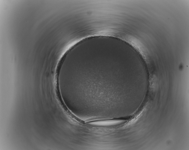 X0000095541077200712211342