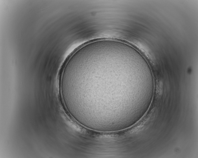 X0000095541078200712211342