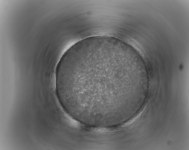 X0000095541079200712211342