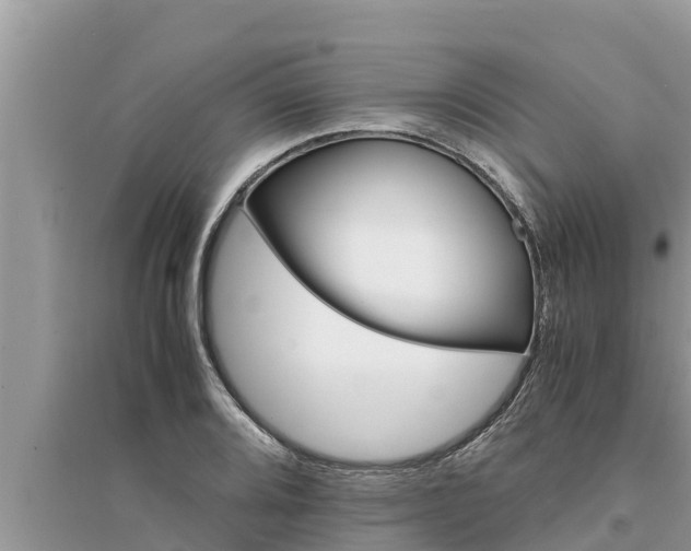 X0000095541080200712211342