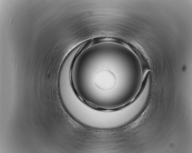 X0000095541081200712211342