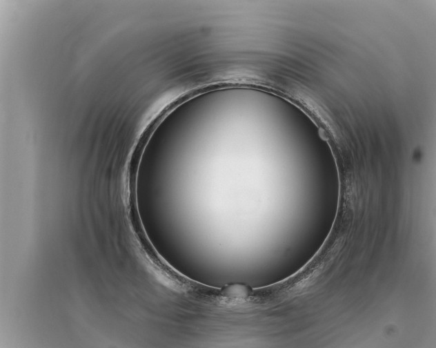 X0000095541082200712211342