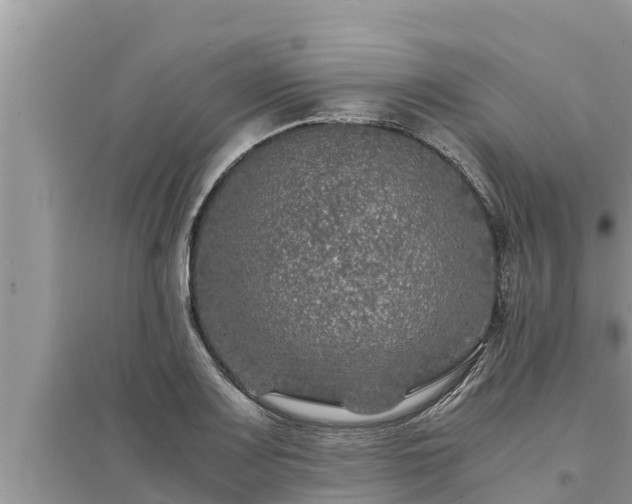 X0000095541083200712211342