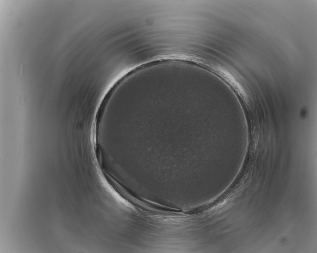 X0000095541084200712211342