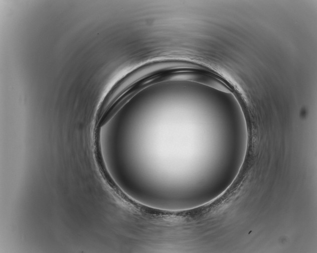 X0000095541085200712211342