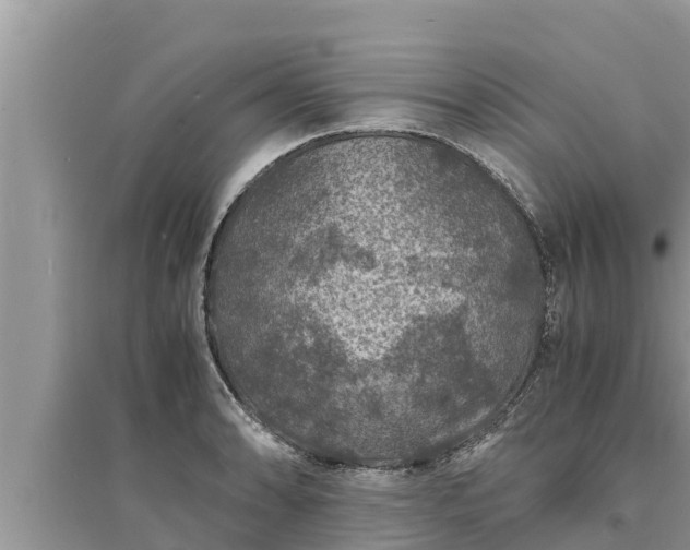 X0000095541086200712211342