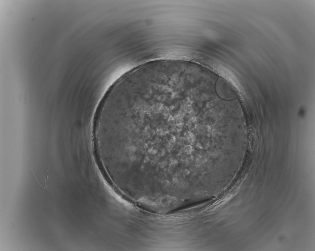 X0000095541087200712211342