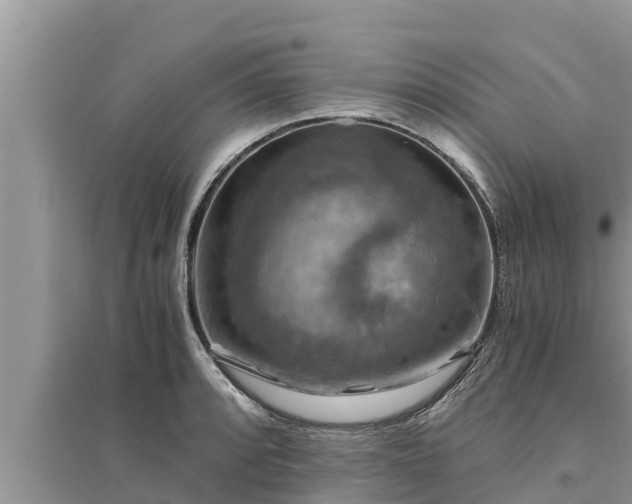 X0000095541088200712211342