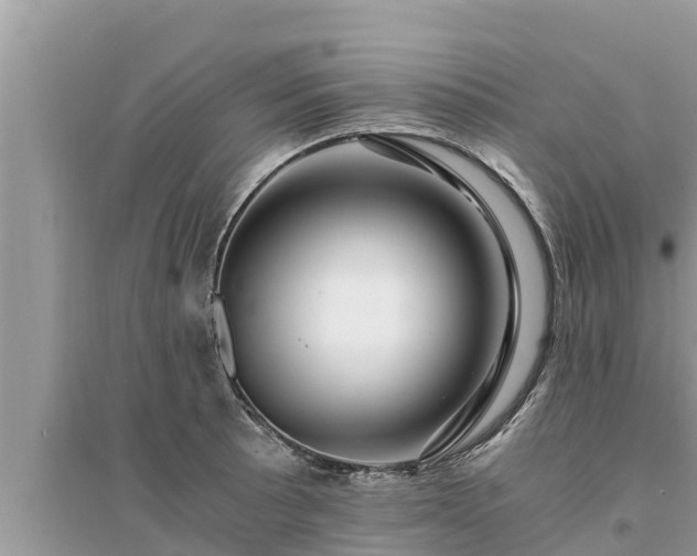 X0000095541089200712211342