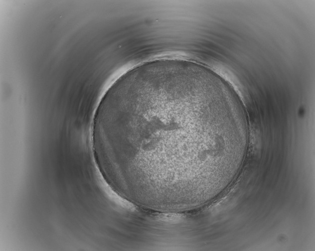 X0000095541090200712211342