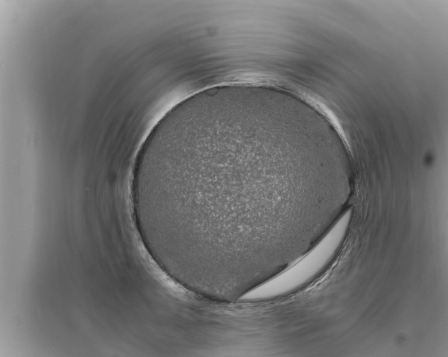 X0000095541091200712211342