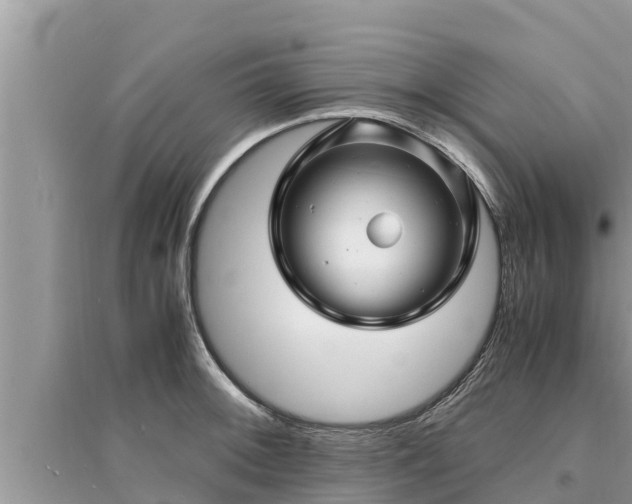 X0000095541092200712211342