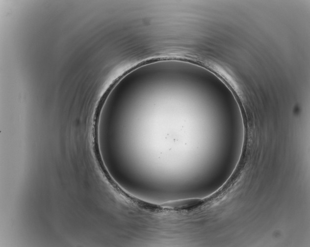 X0000095541093200712211342