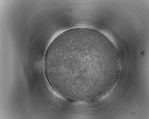 X0000095541094200712211342