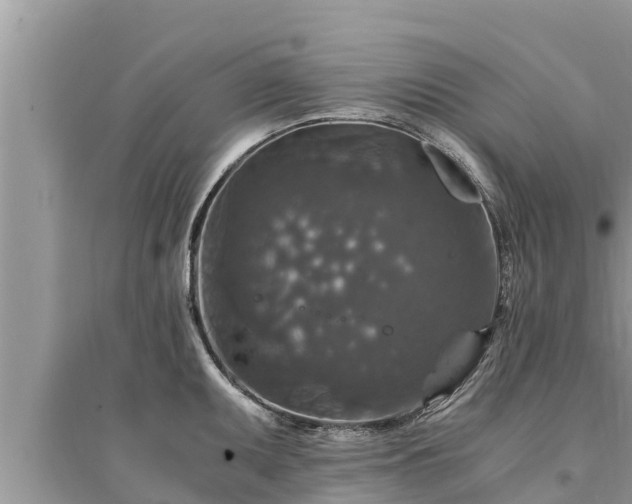 X0000095541095200712211342