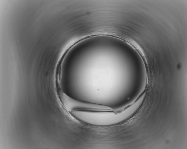 X0000095541096200712211342