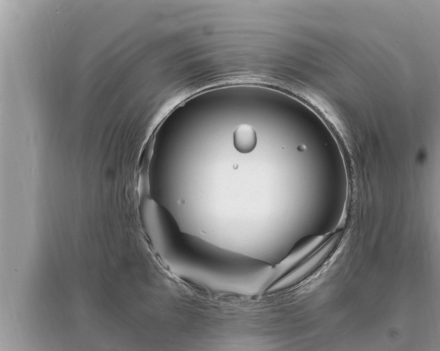 X0000095541097200712211342