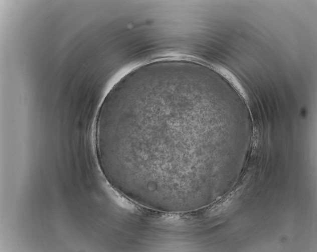 X0000095541098200712211342