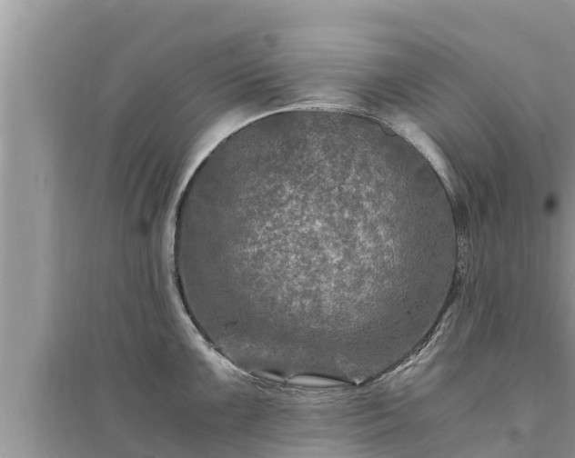 X0000095541099200712211342