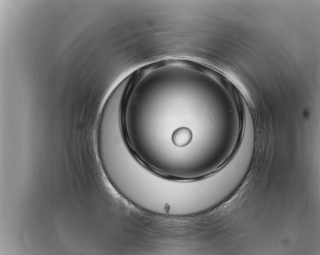 X0000095541100200712211342