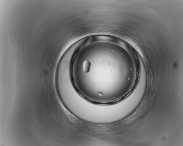 X0000095541101200712211342