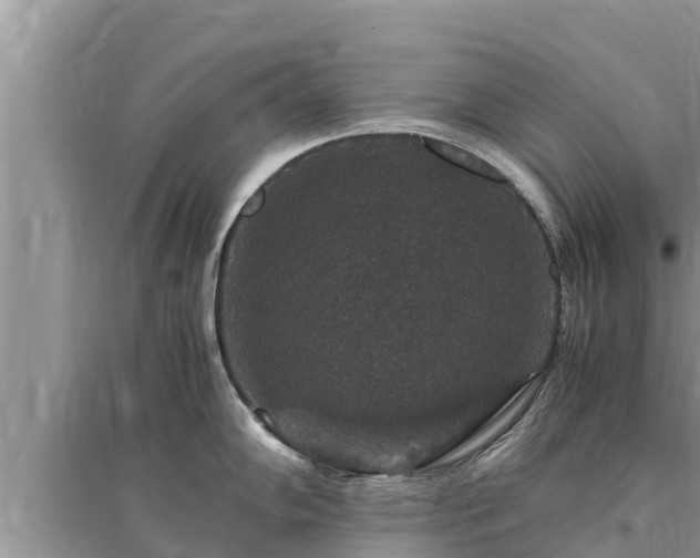 X0000095541102200712211342