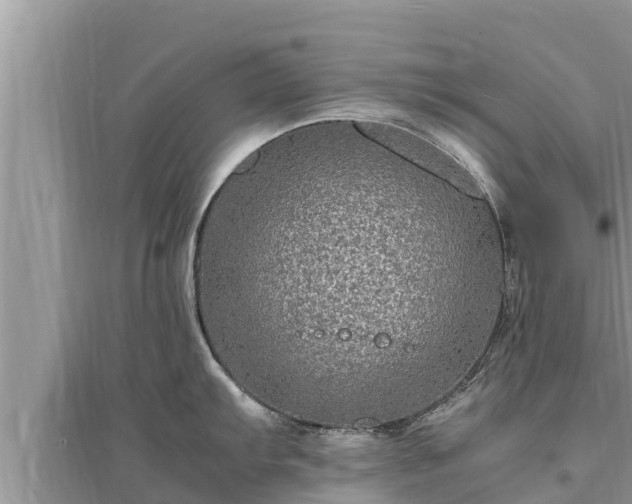 X0000095541103200712211342