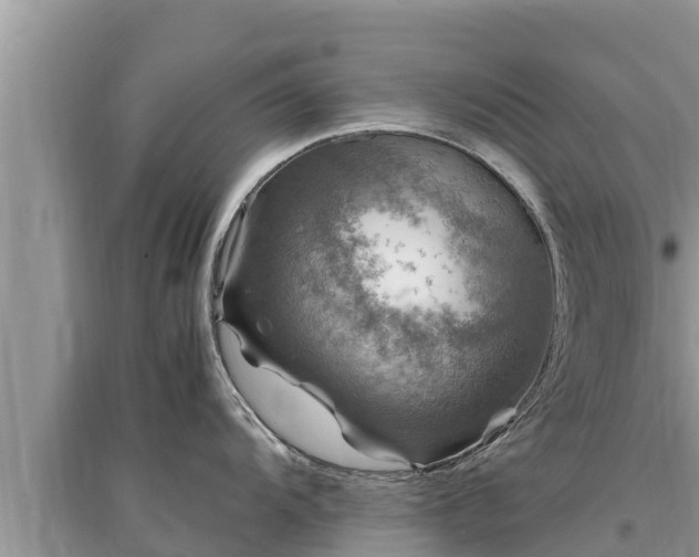 X0000095541104200712211342