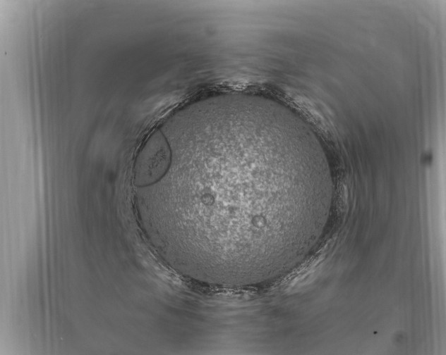 X0000095541105200712211341