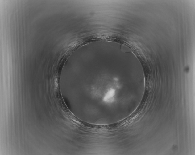 X0000095541106200712211341