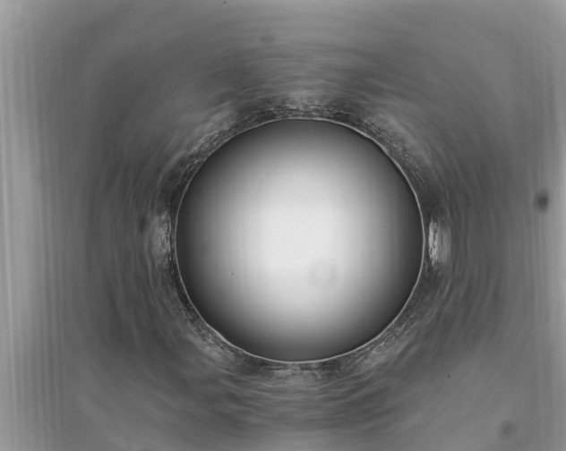 X0000095541107200712211341